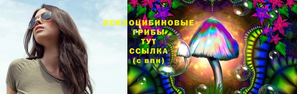 не бодяженный Алзамай
