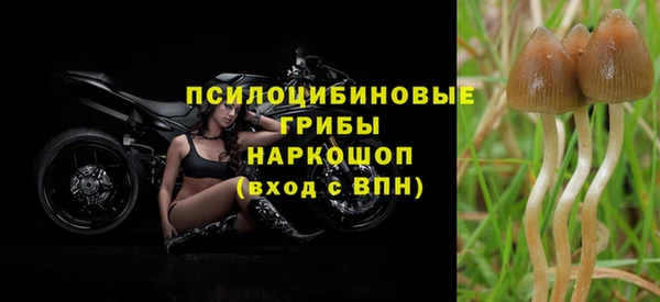 кокс Алексеевка