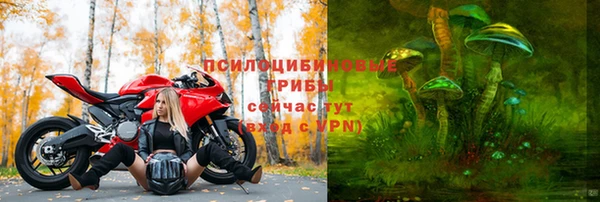 не бодяженный Алзамай