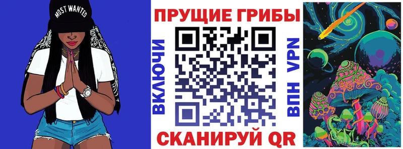 купить наркоту  Дегтярск  Галлюциногенные грибы мицелий 